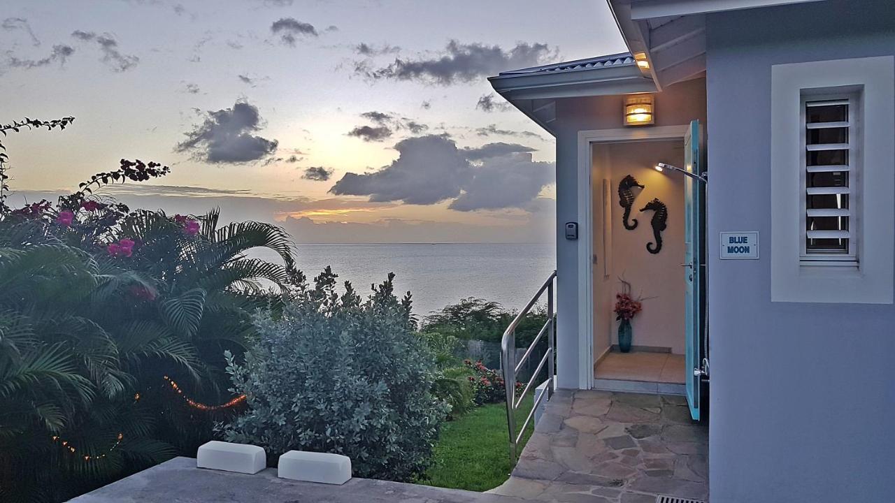 Villa Blue Haven Guadeloupe Blue Moon Bouillante