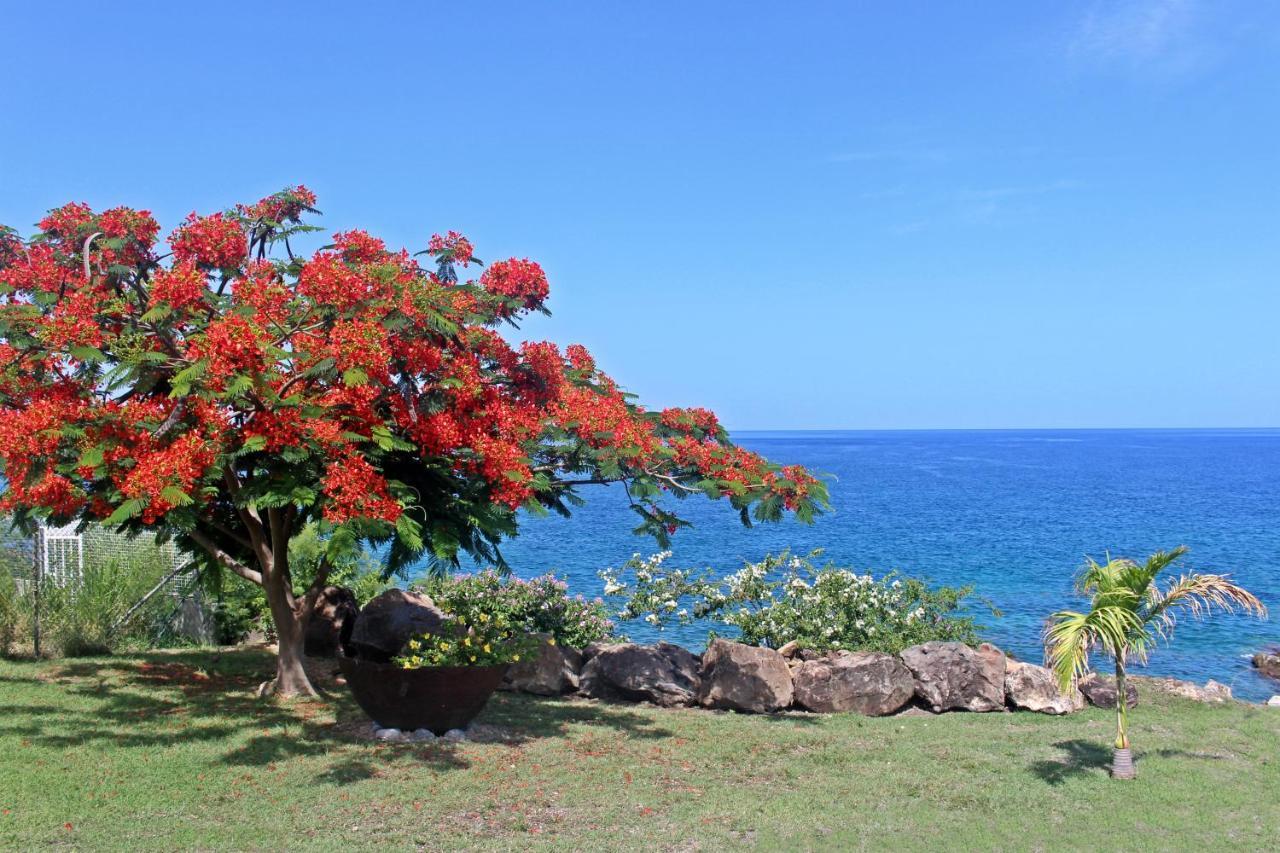 Blue Haven Guadeloupe Blue Moon Bouillante