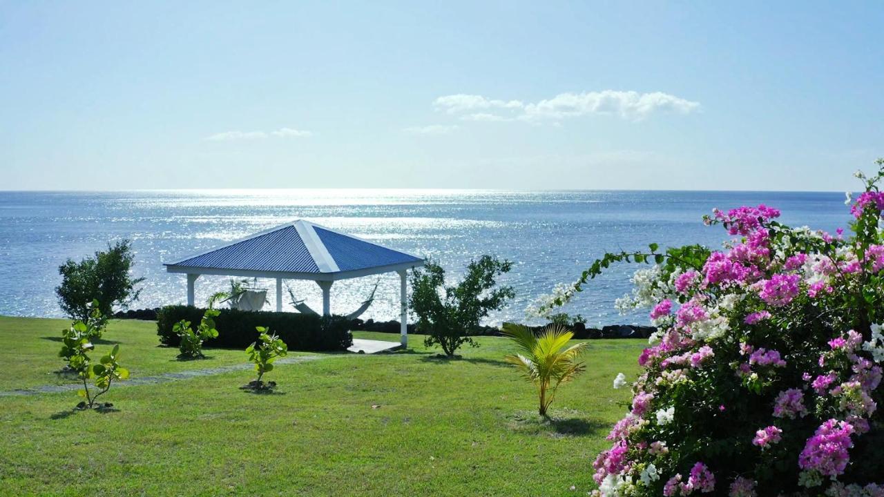 Blue Haven Guadeloupe Blue Moon * Bouillante