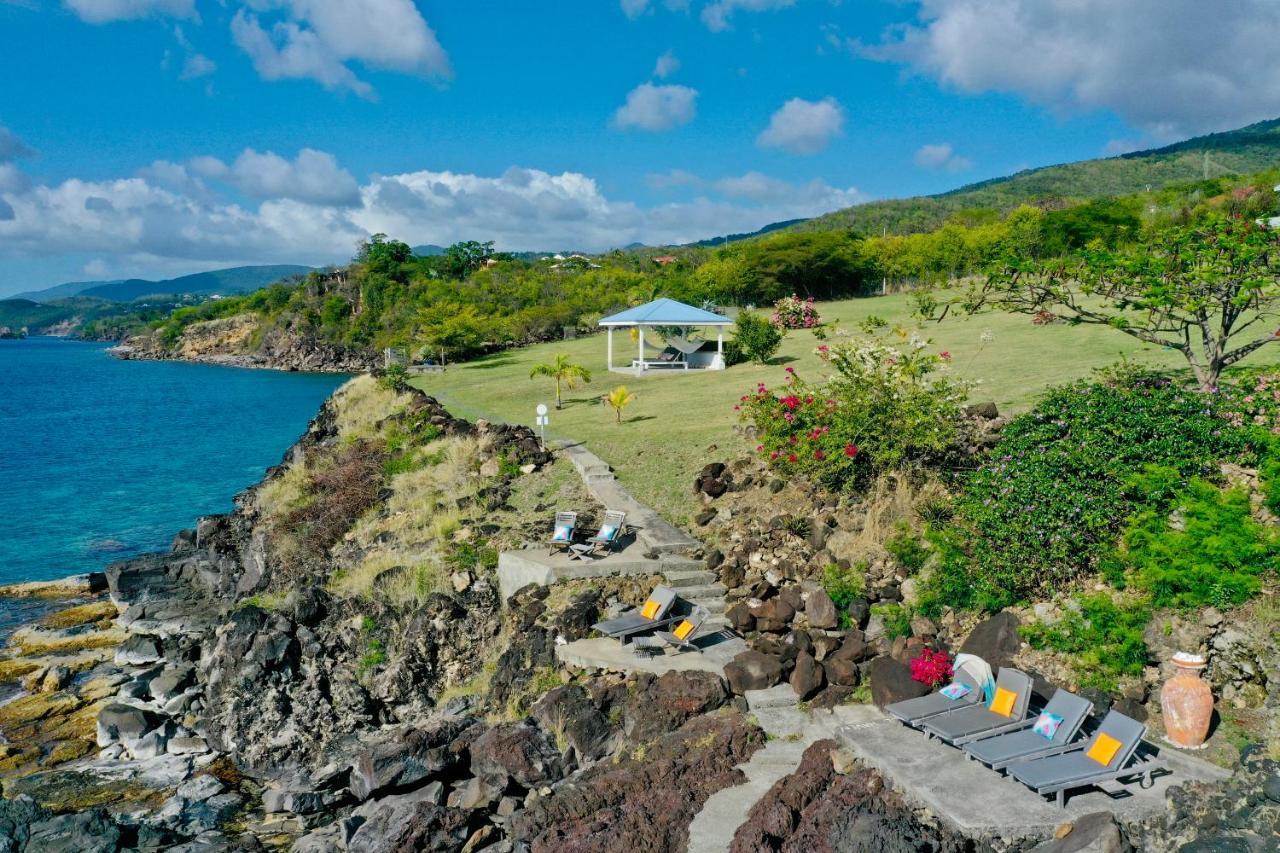 Blue Haven Guadeloupe Blue Moon