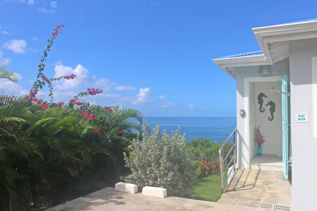 Blue Haven Guadeloupe Blue Moon *