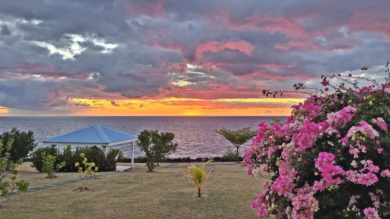 Blue Haven Guadeloupe Blue Moon Villa *